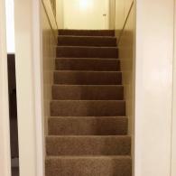 New carpet on stairs