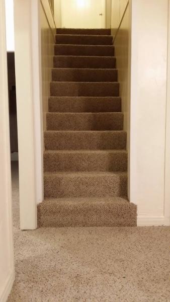 New carpet on stairs