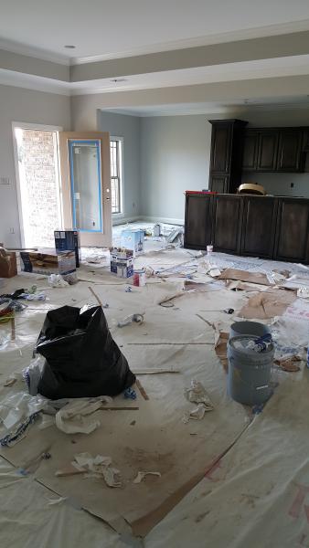 Kitchen and living room remodel