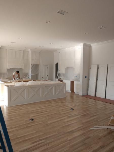 Kitchen cabinet painting